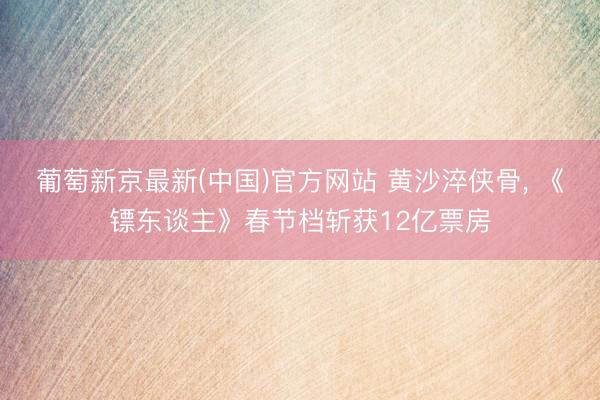 葡萄新京最新(中国)官方网站 黄沙淬侠骨, 《镖东谈主》春节档斩获12亿票房