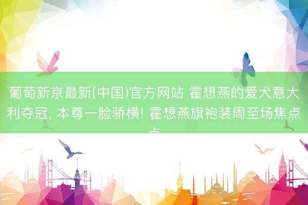 葡萄新京最新(中国)官方网站 霍想燕的爱犬意大利夺冠， 本尊一脸骄横! 霍想燕旗袍装周至场焦点
