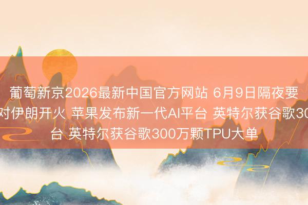葡萄新京2026最新中国官方网站 6月9日隔夜要闻: 以色列暂缓对伊朗开火 苹果发布新一代AI平台 英特尔获谷歌300万颗TPU大单