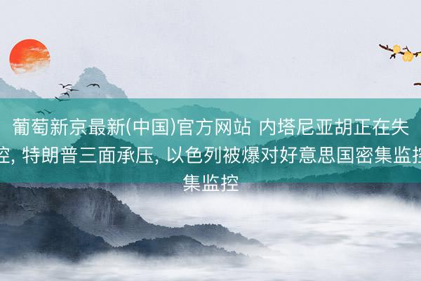 葡萄新京最新(中国)官方网站 内塔尼亚胡正在失控， 特朗普三面承压， 以色列被爆对好意思国密集监控