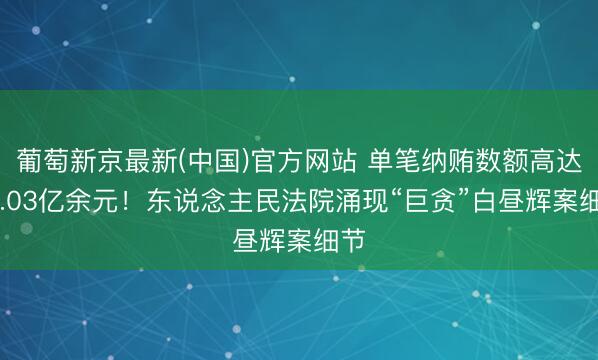 葡萄新京最新(中国)官方网站 单笔纳贿数额高达11.03亿余元！东说念主民法院涌现“巨贪”白昼辉案细节