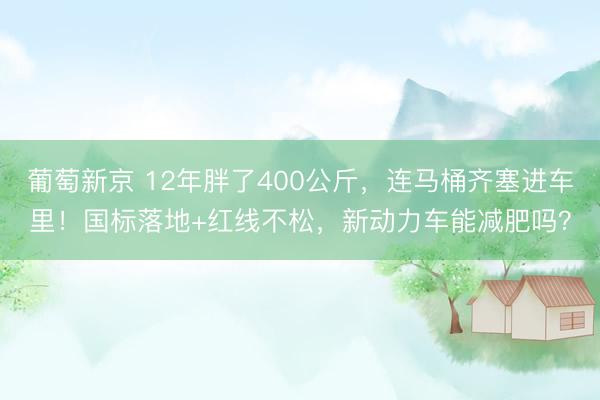 葡萄新京 12年胖了400公斤，连马桶齐塞进车里！国标落地+红线不松，新动力车能减肥吗？
