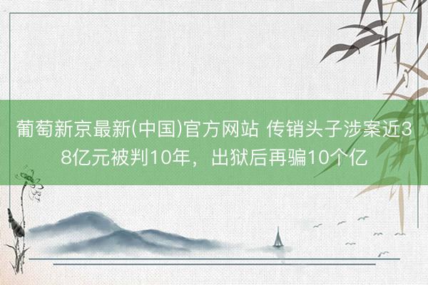 葡萄新京最新(中国)官方网站 传销头子涉案近38亿元被判10年，出狱后再骗10个亿