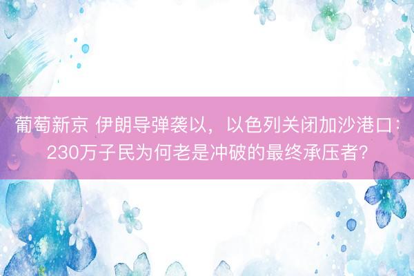 葡萄新京 伊朗导弹袭以，以色列关闭加沙港口：230万子民为何老是冲破的最终承压者？