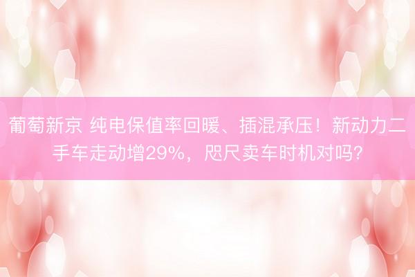 葡萄新京 纯电保值率回暖、插混承压！新动力二手车走动增29%，咫尺卖车时机对吗？