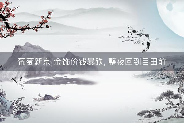 葡萄新京 金饰价钱暴跌， 整夜回到目田前
