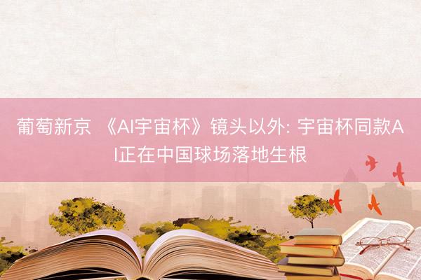 葡萄新京 《AI宇宙杯》镜头以外: 宇宙杯同款AI正在中国球场落地生根