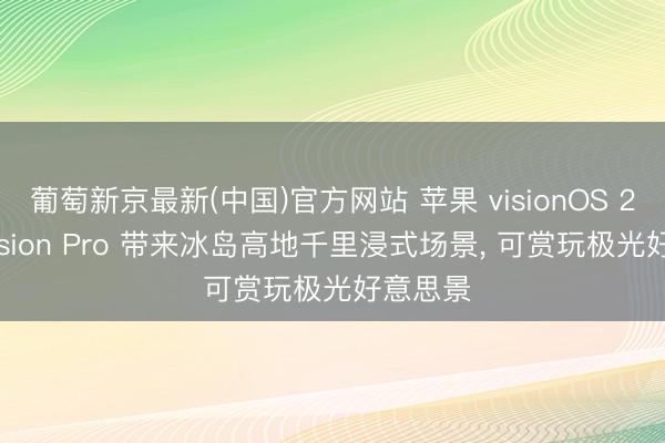 葡萄新京最新(中国)官方网站 苹果 visionOS 27 为 Vision Pro 带来冰岛高地千里浸式场景， 可赏玩极光好意思景