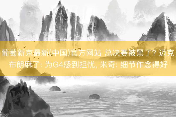 葡萄新京最新(中国)官方网站 总决赛被黑了? 迈克布朗麻了: 为G4感到担忧， 米奇: 细节作念得好