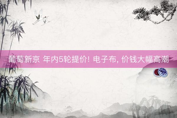 葡萄新京 年内5轮提价! 电子布， 价钱大幅高潮