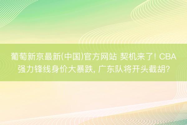 葡萄新京最新(中国)官方网站 契机来了! CBA强力锋线身价大暴跌， 广东队将开头截胡?