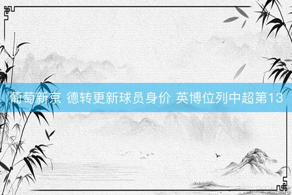 葡萄新京 德转更新球员身价 英博位列中超第13