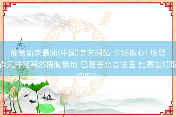 葡萄新京最新(中国)官方网站 全场揪心! 埃里克森无扞拒蓦然捂胸倒地 已复答允志送医 比赛迫切取消