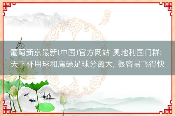 葡萄新京最新(中国)官方网站 奥地利国门群: 天下杯用球和庸碌足球分离大， 很容易飞得快