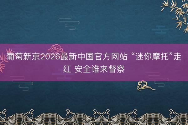 葡萄新京2026最新中国官方网站 “迷你摩托”走红 安全谁来督察