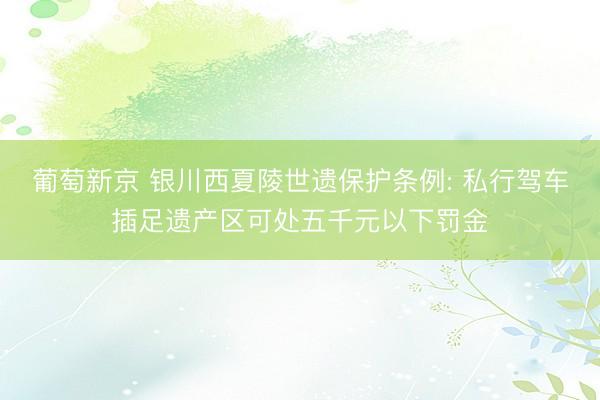 葡萄新京 银川西夏陵世遗保护条例: 私行驾车插足遗产区可处五千元以下罚金