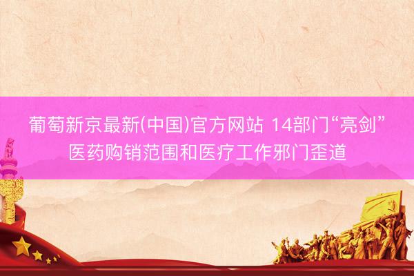 葡萄新京最新(中国)官方网站 14部门“亮剑”医药购销范围和医疗工作邪门歪道