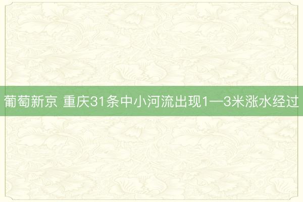 葡萄新京 重庆31条中小河流出现1—3米涨水经过