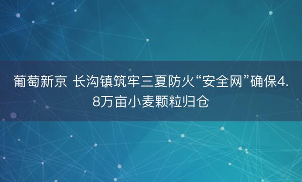 葡萄新京 长沟镇筑牢三夏防火“安全网”确保4.8万亩小麦颗粒归仓