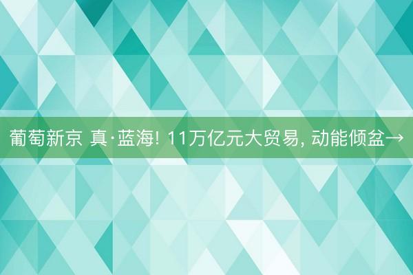 葡萄新京 真·蓝海! 11万亿元大贸易， 动能倾盆→