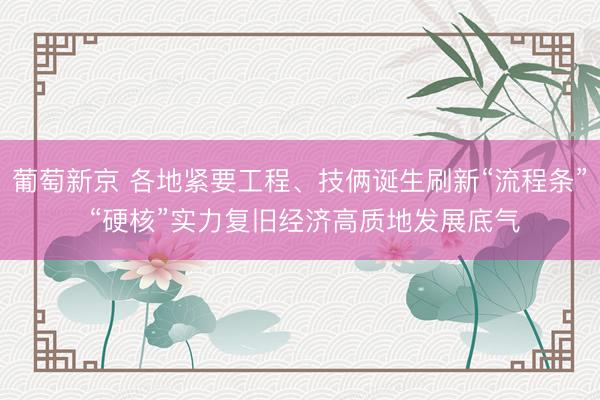 葡萄新京 各地紧要工程、技俩诞生刷新“流程条” “硬核”实力复旧经济高质地发展底气