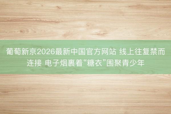 葡萄新京2026最新中国官方网站 线上往复禁而连接 电子烟裹着“糖衣”围聚青少年