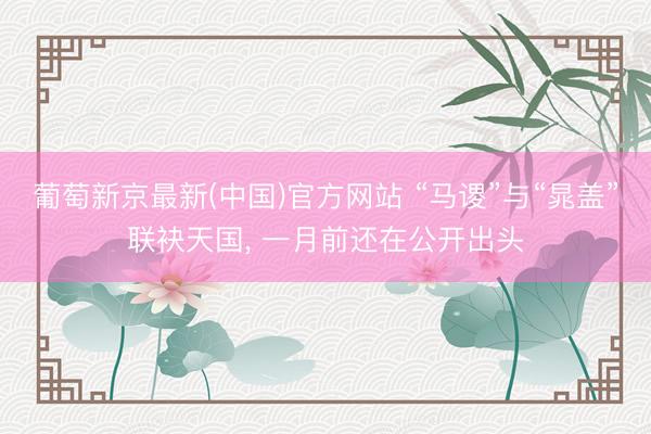 葡萄新京最新(中国)官方网站 “马谡”与“晁盖”联袂天国， 一月前还在公开出头