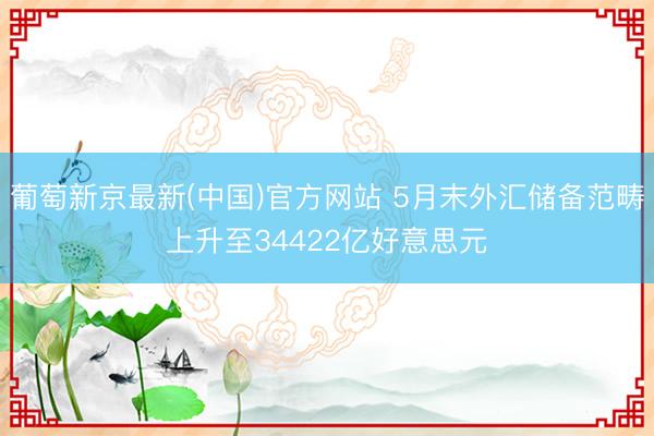 葡萄新京最新(中国)官方网站 5月末外汇储备范畴上升至34422亿好意思元