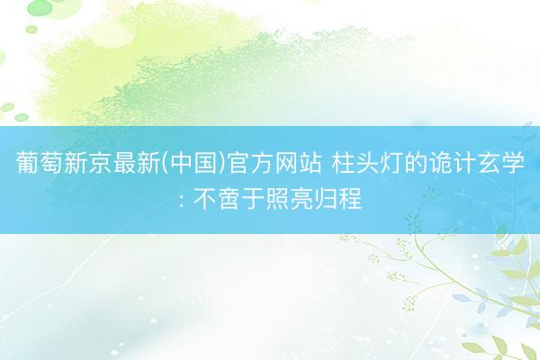 葡萄新京最新(中国)官方网站 柱头灯的诡计玄学: 不啻于照亮归程