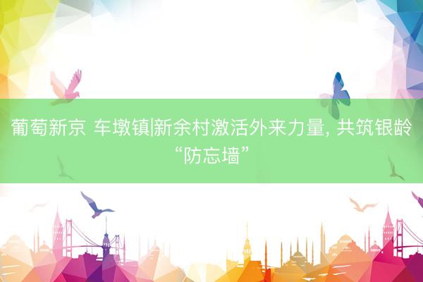 葡萄新京 车墩镇|新余村激活外来力量， 共筑银龄“防忘墙”
