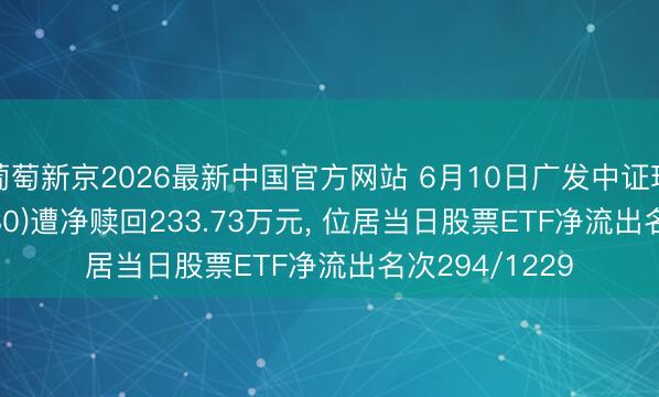 葡萄新京2026最新中国官方网站 6月10日广发中证环保ETF(512580)遭净赎回233.73万元， 位居当日股票ETF净流出名次294/1229