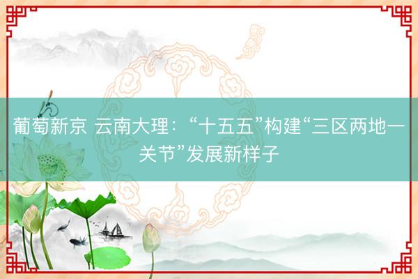 葡萄新京 云南大理：“十五五”构建“三区两地一关节”发展新样子