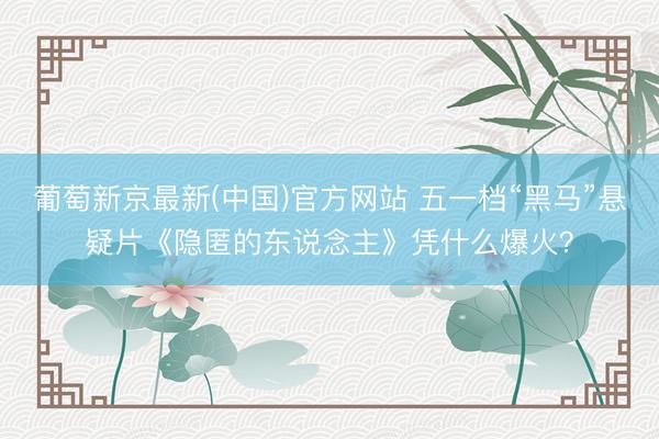 葡萄新京最新(中国)官方网站 五一档“黑马”悬疑片《隐匿的东说念主》凭什么爆火?