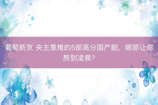 葡萄新京 央主意推的5部高分国产剧，哪部让你熬到凌晨？