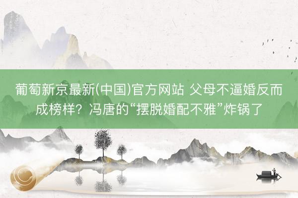 葡萄新京最新(中国)官方网站 父母不逼婚反而成榜样？冯唐的“摆脱婚配不雅”炸锅了