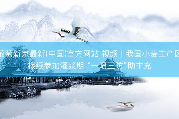 葡萄新京最新(中国)官方网站 视频|我国小麦主产区接续参加灌浆期 “一喷三防”助丰充