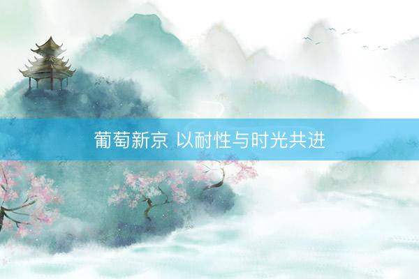 葡萄新京 以耐性与时光共进