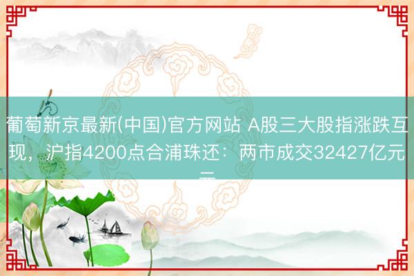 葡萄新京最新(中国)官方网站 A股三大股指涨跌互现，沪指4200点合浦珠还：两市成交32427亿元