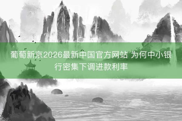 葡萄新京2026最新中国官方网站 为何中小银行密集下调进款利率