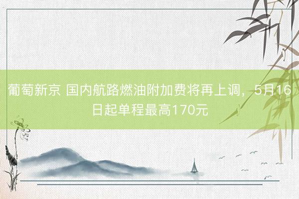 葡萄新京 国内航路燃油附加费将再上调，5月16日起单程最高170元