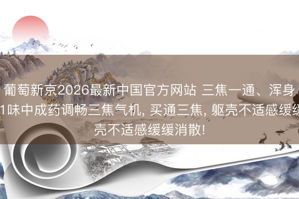葡萄新京2026最新中国官方网站 三焦一通、浑身平缓! 1味中成药调畅三焦气机， 买通三焦， 躯壳不适感缓缓消散!