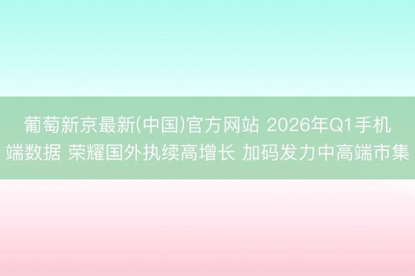葡萄新京最新(中国)官方网站 2026年Q1手机端数据 荣耀国外执续高增长 加码发力中高端市集