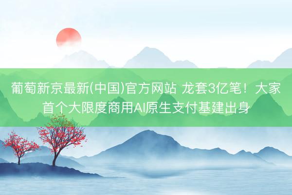 葡萄新京最新(中国)官方网站 龙套3亿笔！大家首个大限度商用AI原生支付基建出身