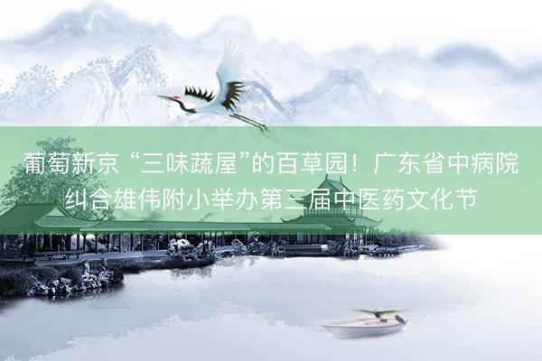 葡萄新京 “三味蔬屋”的百草园！广东省中病院纠合雄伟附小举办第三届中医药文化节
