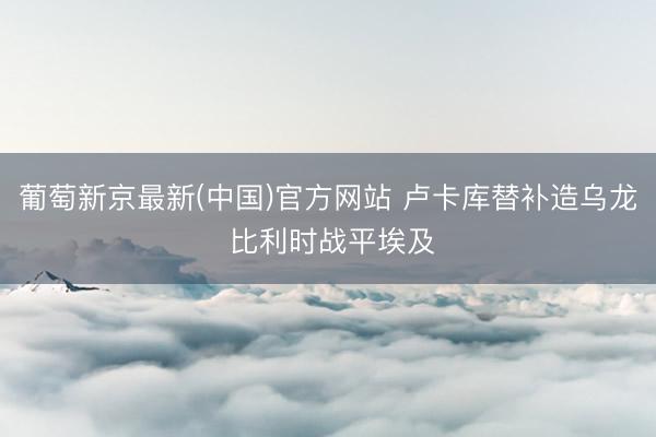 葡萄新京最新(中国)官方网站 卢卡库替补造乌龙 比利时战平埃及