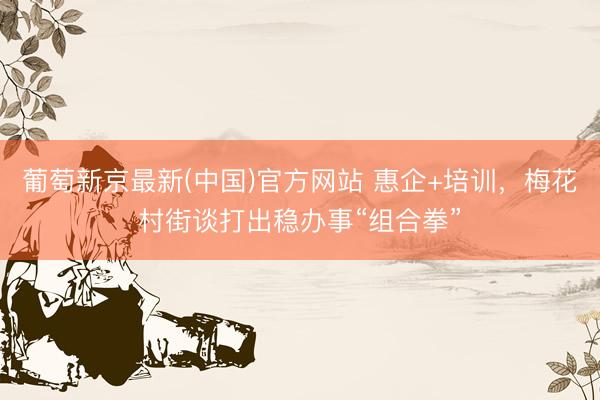 葡萄新京最新(中国)官方网站 惠企+培训，梅花村街谈打出稳办事“组合拳”