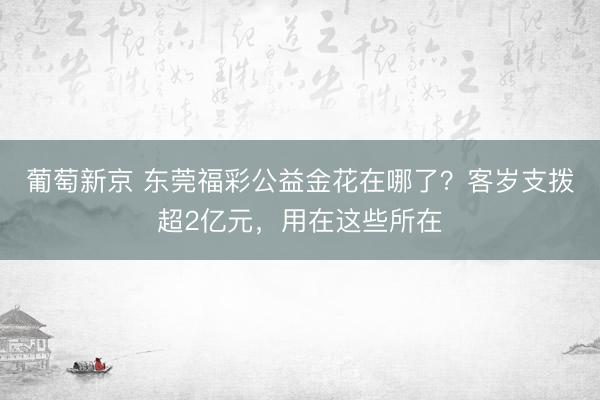 葡萄新京 东莞福彩公益金花在哪了？客岁支拨超2亿元，用在这些所在